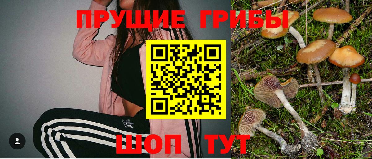 Псилоцибиновые грибы ЛСД Кунгур